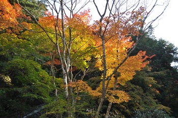 哲学-8.jpg