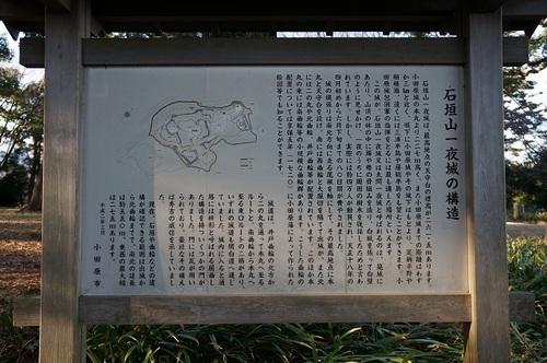 c-9.jpg