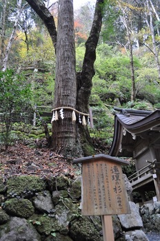 鞍馬-017.jpg