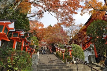 鞍馬-3.jpg